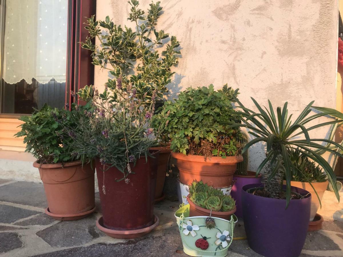 Puffele B&B Enego Εξωτερικό φωτογραφία